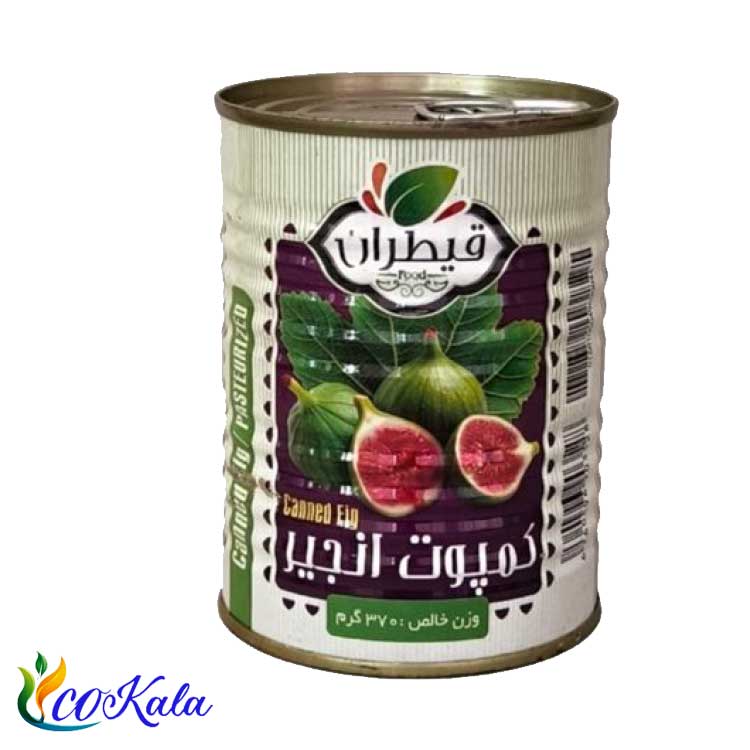 کمپوت انجیر قیطران 370 گرم